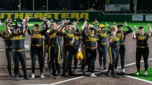 Image result for Lions Softball Club
