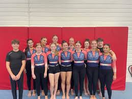Image result for Pinewood Gymnastics Club