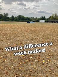 Image result for Chew Magna Cricket Club