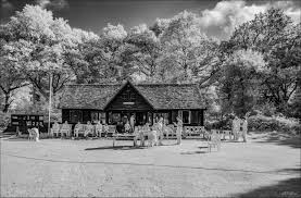 Image result for Hambledon Cricket Club