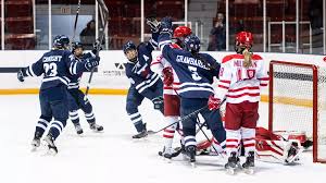 Image result for York University Hockey Club