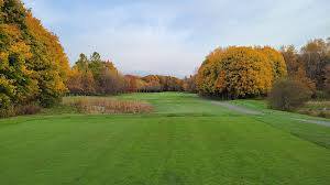 Image result for Halton Farnworth Hornets A R L F C