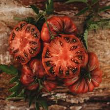 Afbeeldingsresultaat voor 1884 purple tomato