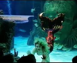 Image result for Apneists UK