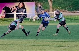 Image result for Lymm Rugby Union Football Club