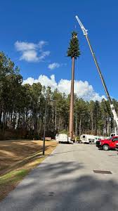 Image result for cell phone tower