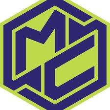 Image result for Deva Handball Club