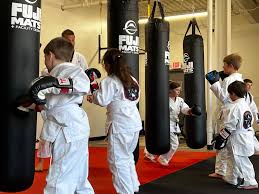 Image result for Full Element Mixed Martial Arts