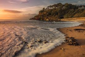 Image result for Dawlish Sc