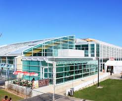 Image result for Vale Of Aylesbury Athletics Club