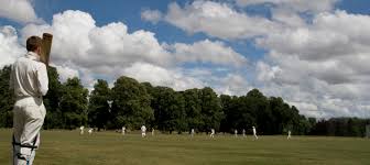 Image result for Chew Magna Cricket Club