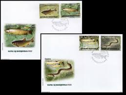 Image result for Squalius vardarensis