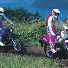 Image result for dt50mx blauw