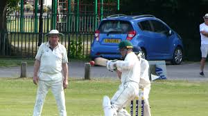 Image result for Waverley Cricket Club