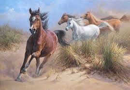 Afbeeldingsresultaat voor paarden