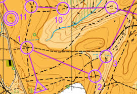 Image result for Harlequins Orienteering Club