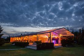 Image result for weselne