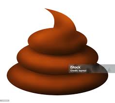 Image result for il_merda.jpg