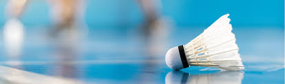 Image result for New Bexley Badminton Club