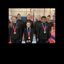 Image result for Bulmershe Gymnastics Club