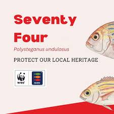 Image result for Polysteganus undulosus