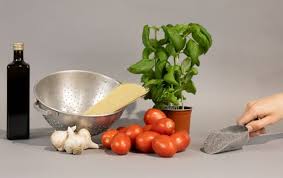 Afbeeldingsresultaat voor kosmonaut volkov 68D tomato