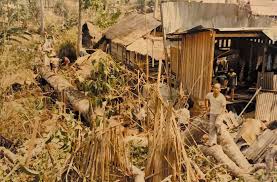 Image result for Laogai camps