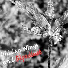 Attēlu rezultāti vaicājumam “Sospita vigintiguttata”