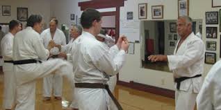 Image result for Everitt Karate Academy