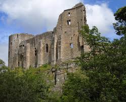 Image result for Barnard Castle Bowls Club