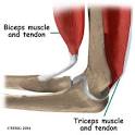 A Patient's Guide to Elbow Anatomy