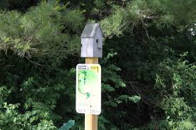 Image result for Chester Road Sports & Social Club