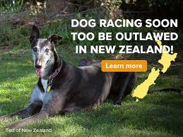 Image result for Reading Greyhound Track