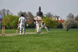 Image result for Caddington Cricket Club