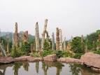 Shenzhen Fairy Lake Botanical Garden @ www.