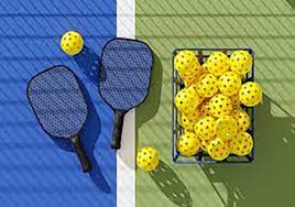 Image result for Thornbury Pickleball Club