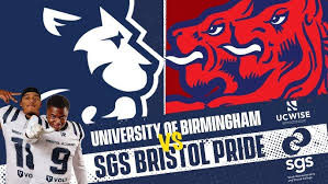 Image result for Birmingham University Lions