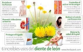 Image result for diente de leon
