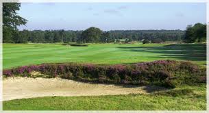 Image result for Walton Heath Golf Club