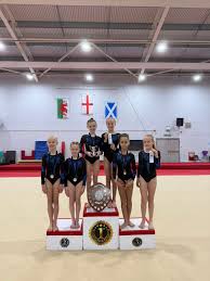Image result for Hinckley Gymnastics Club