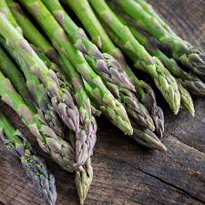 Attēlu rezultāti vaicājumam “Asparagus officinalis”