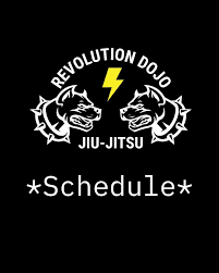 Image result for Revolution Dojo