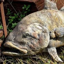 Image result for Trachinotus carolinus