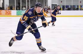 Image result for Romford Raiders