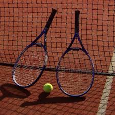 Image result for Charmouth Lawn Tennis Club