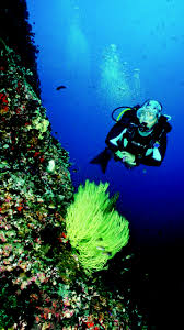 Image result for Peninsula Sub Aqua