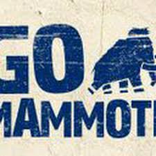 Image result for Go Mammoth