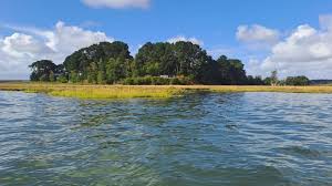 Image result for Poole Harbour Canoe Club