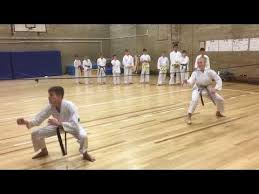 Image result for Kaizen No-Michi School of Shotokan Karate