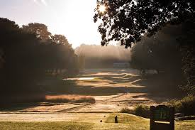 Image result for Brokenhurst Manor Golf Club